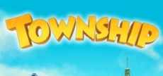 township logo_300x2008.jpg